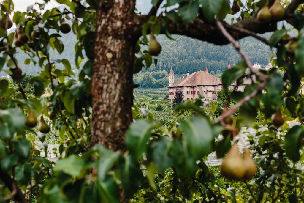 Felsenegg Otel Nalles Dış mekan fotoğraf