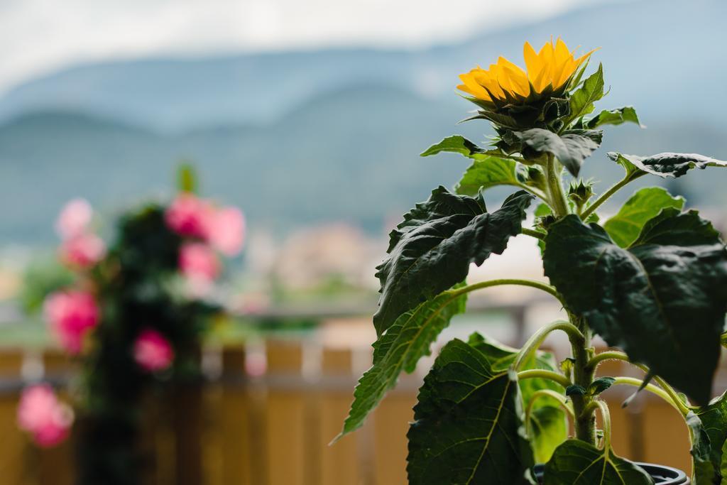 Felsenegg Otel Nalles Oda fotoğraf