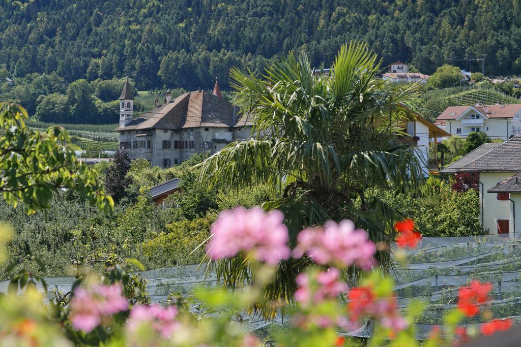 Felsenegg Otel Nalles Oda fotoğraf